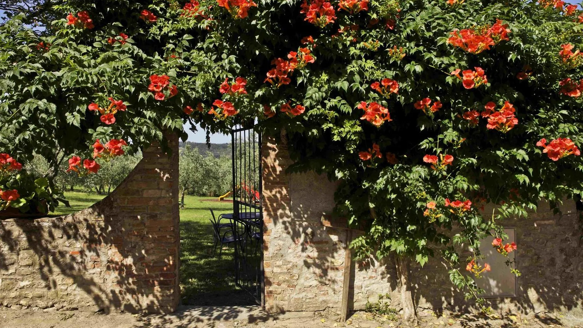 Farm stay Fattoria Poggio Capponi Villa Montespertoli