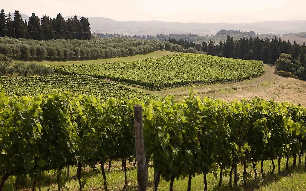 Farm stay Fattoria Poggio Capponi Villa Montespertoli